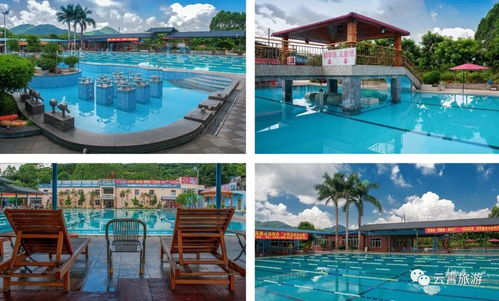 云霄发布乡村生态温泉养生精品线路，村家AI系统带你探索健康之旅